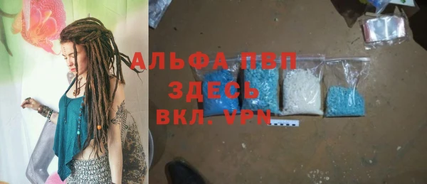 стаф Верея