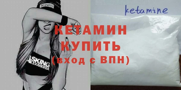 стаф Верея