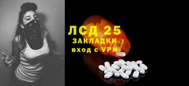 стаф Верея