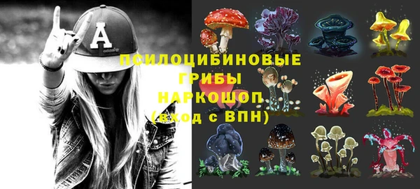 PSILOCYBIN Бронницы