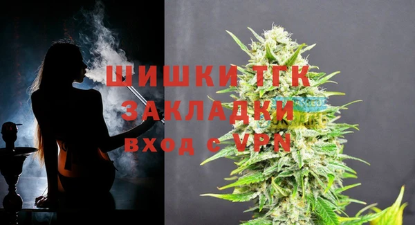Альфа ПВП Богородицк