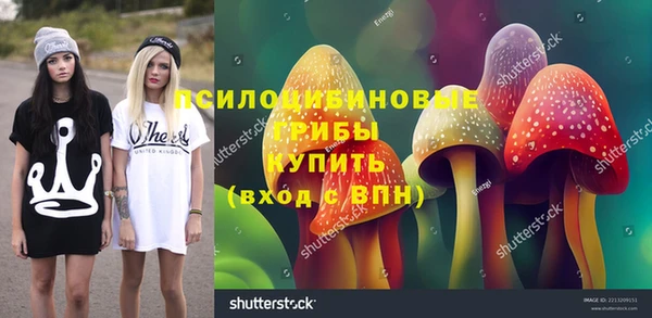 стаф Верея