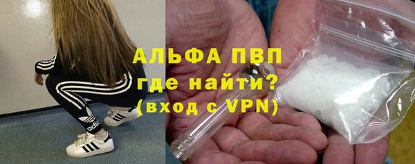 стаф Верея