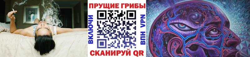 Псилоцибиновые грибы прущие грибы Ефремов